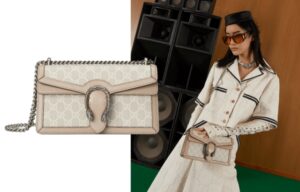 Gucci Dionysus bag - A simple guide